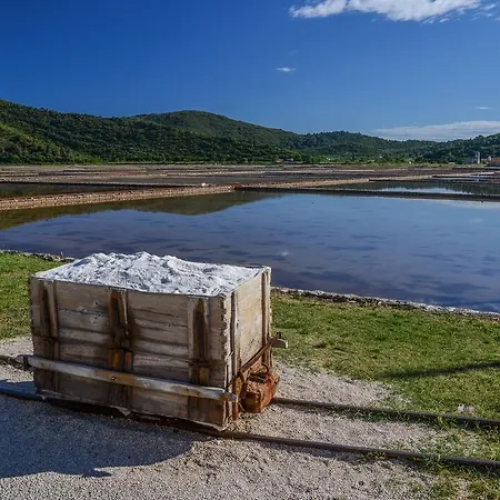 斯拉夫卡别墅 3* 内乌姆
